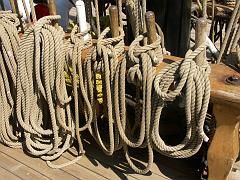 080508_Roald_Amundsen 426